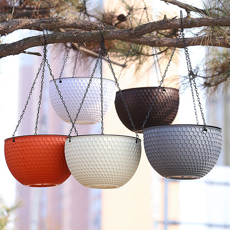 Echeveria Succulent - Upper Diameter 16.5cm Rattan Plastic Hanging