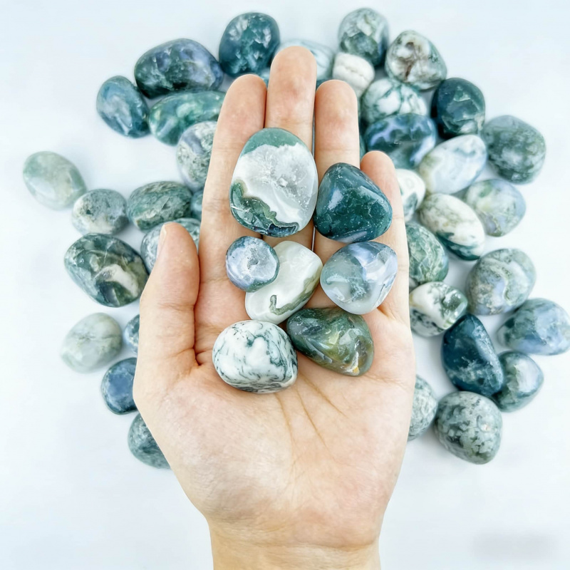 Natural Moss Agate Crushed Sto - đánh giá và giá Echeveria Succulent