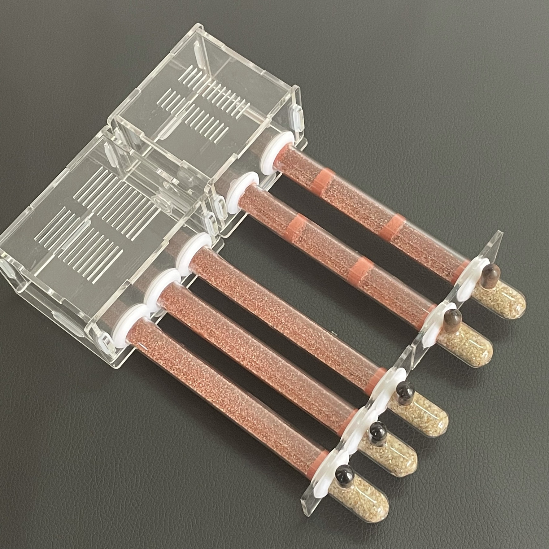 15-150mm Gypsum Test Tube Nest - đánh giá và giá Begonia Rex