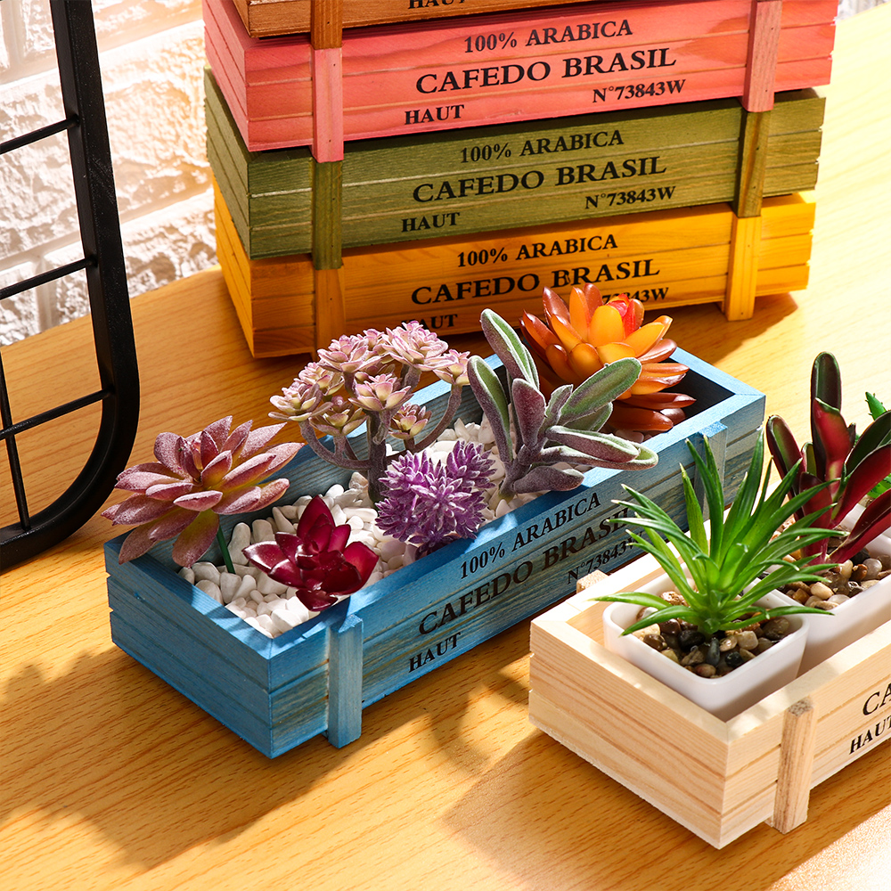 Natural Wooden Flowerpot Garde - đánh giá và giá Echeveria Succulent