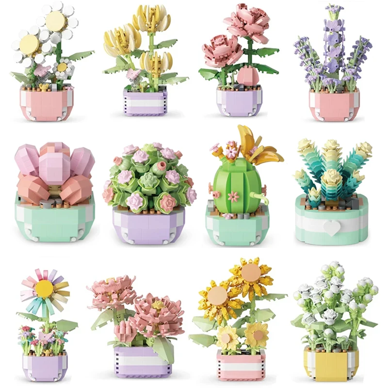 Flower Succulents Building Blo - đánh giá và giá Echeveria Succulent