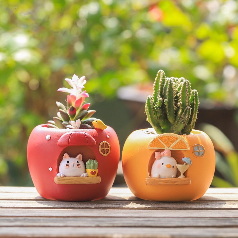 Cute Fruit Themed Planters for - đánh giá và giá Echeveria Succulent