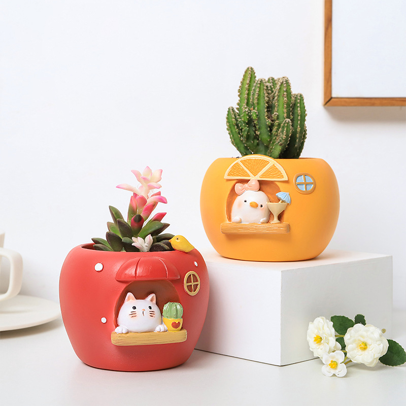 Cute Fruit Themed Planters for - đánh giá và giá Echeveria Succulent