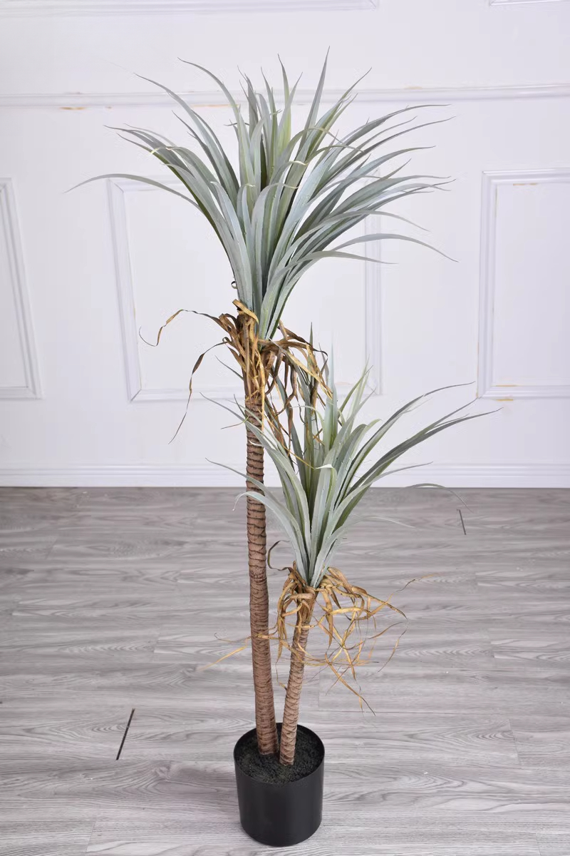 Dragon Blood Yucca Artificial  - đánh giá và giá Dracaena Marginata