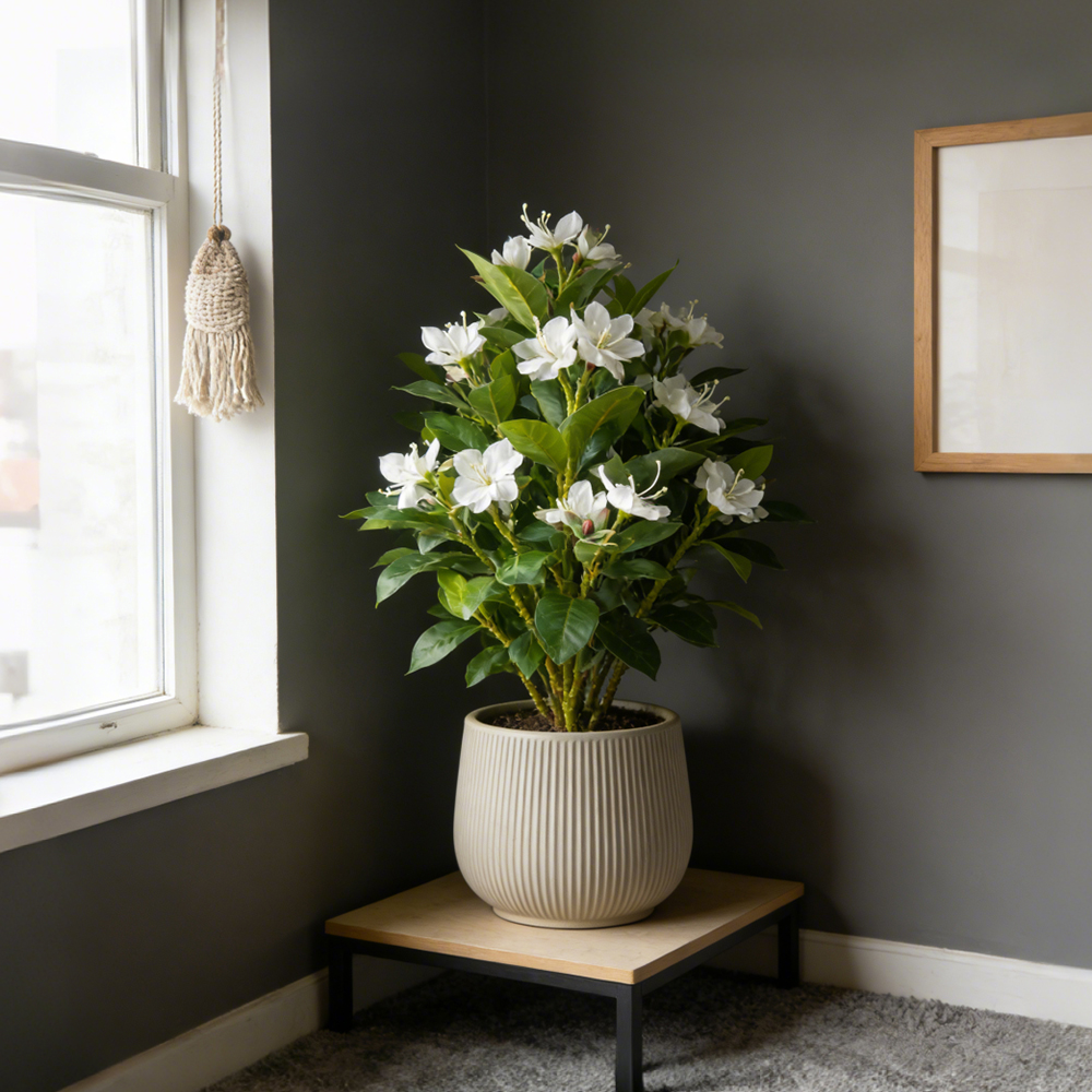 21-40cm Artificial Azalea Flow - đánh giá và giá Ficus Lyrata Tree