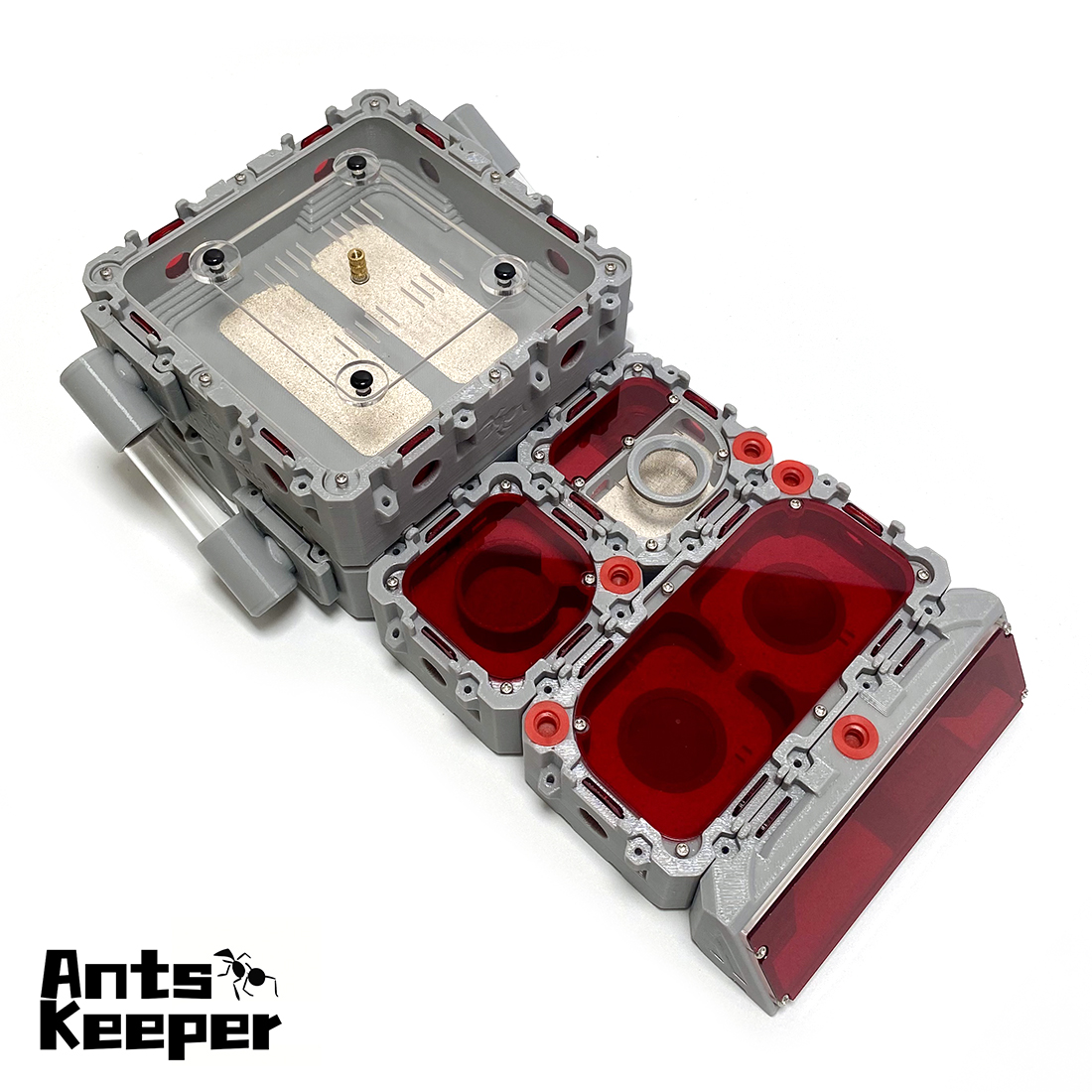 【Lego】Expandable Modular Formi - đánh giá và giá Begonia Rex