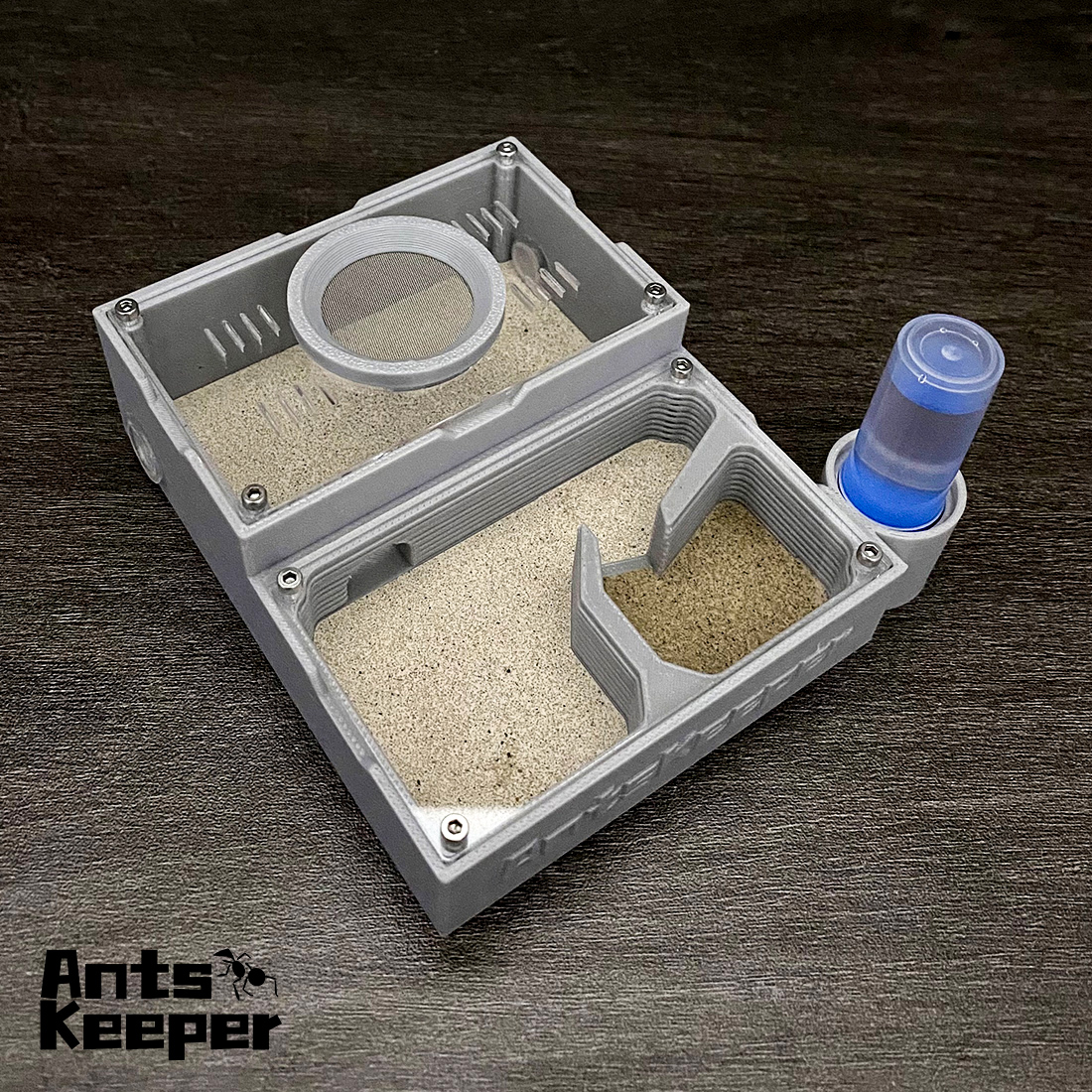 【One Section】Flat Ant Farm for - đánh giá và giá Begonia Rex