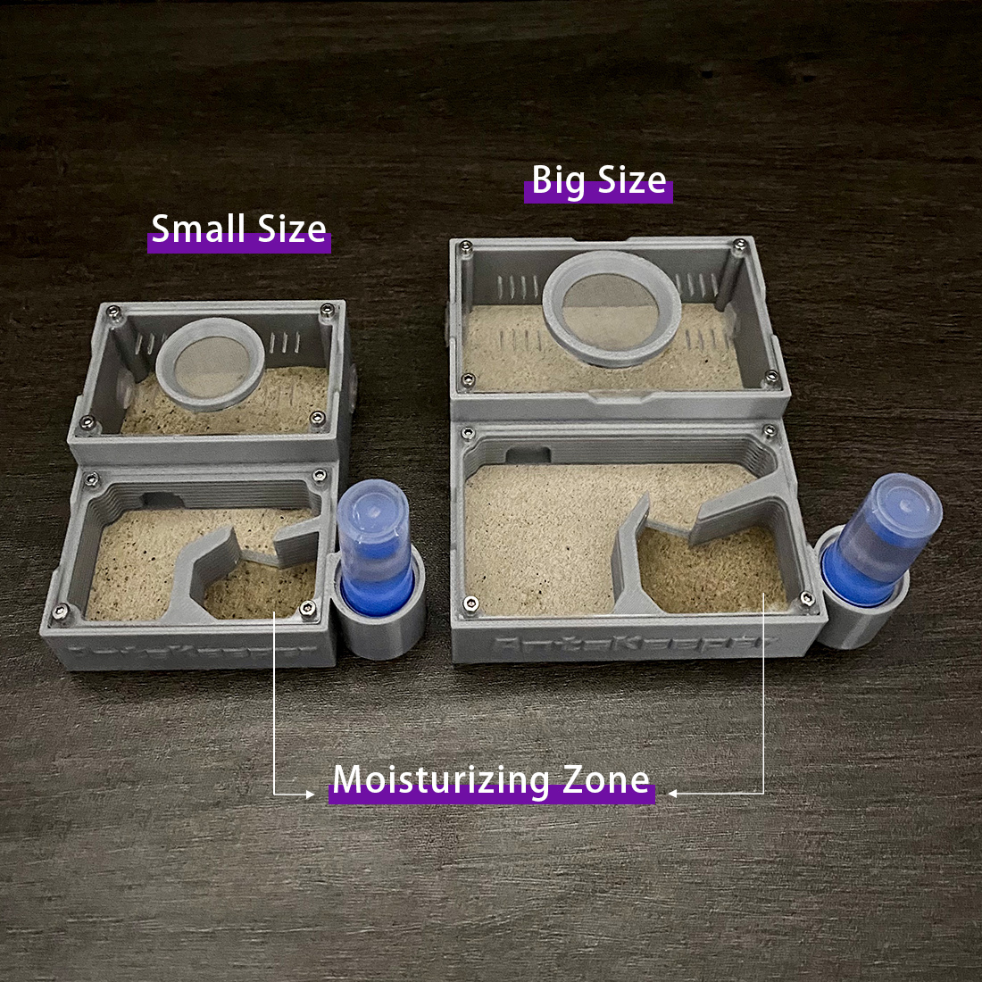 【One Section】Flat Ant Farm for - đánh giá và giá Begonia Rex
