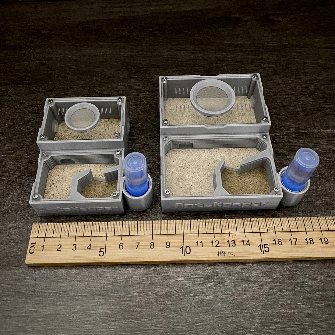 【One Section】Flat Ant Farm for - đánh giá và giá Begonia Rex
