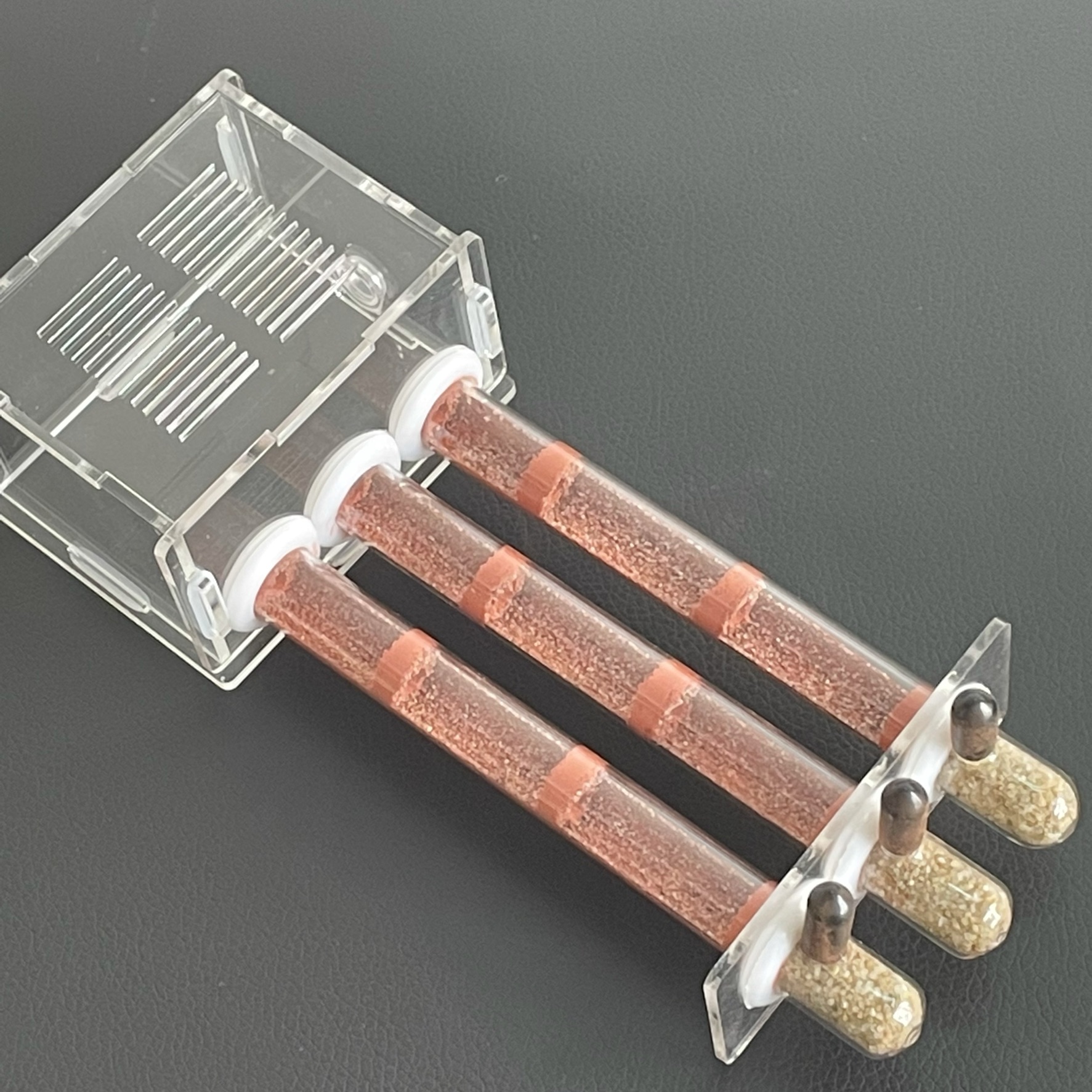 Ecological moisturing sand Ant - đánh giá và giá Begonia Rex