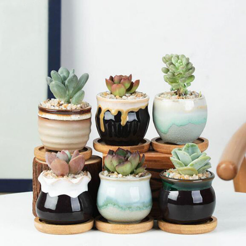 6pcs/set Ceramic Flowerpot Set - đánh giá và giá Echeveria Succulent