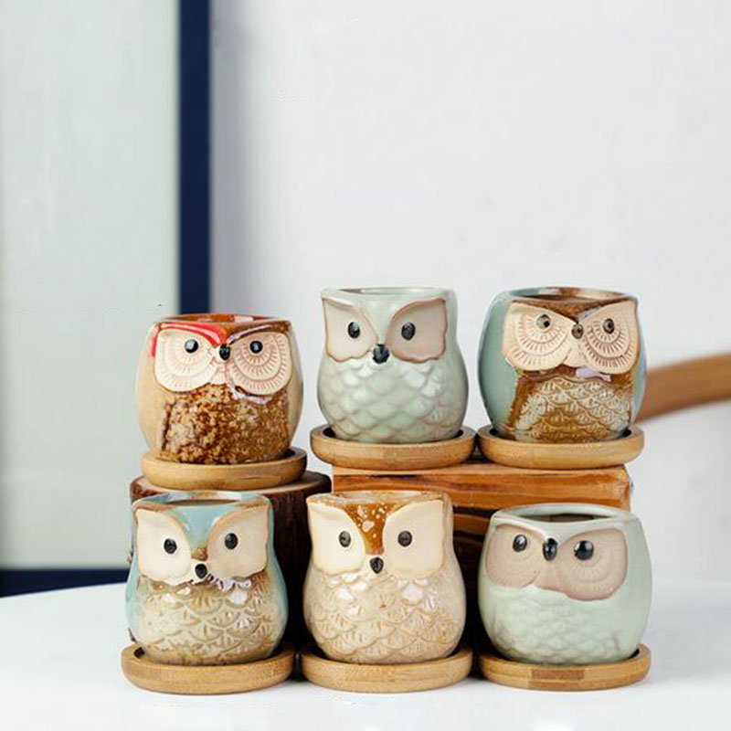 6pcs/set Ceramic Flowerpot Set - đánh giá và giá Echeveria Succulent