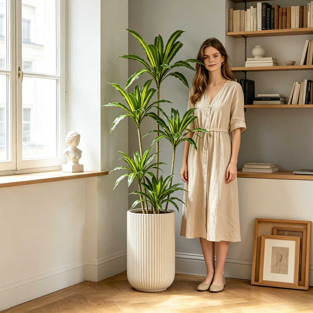 80-165cm Large Artifcial Draca - đánh giá và giá Dracaena Marginata