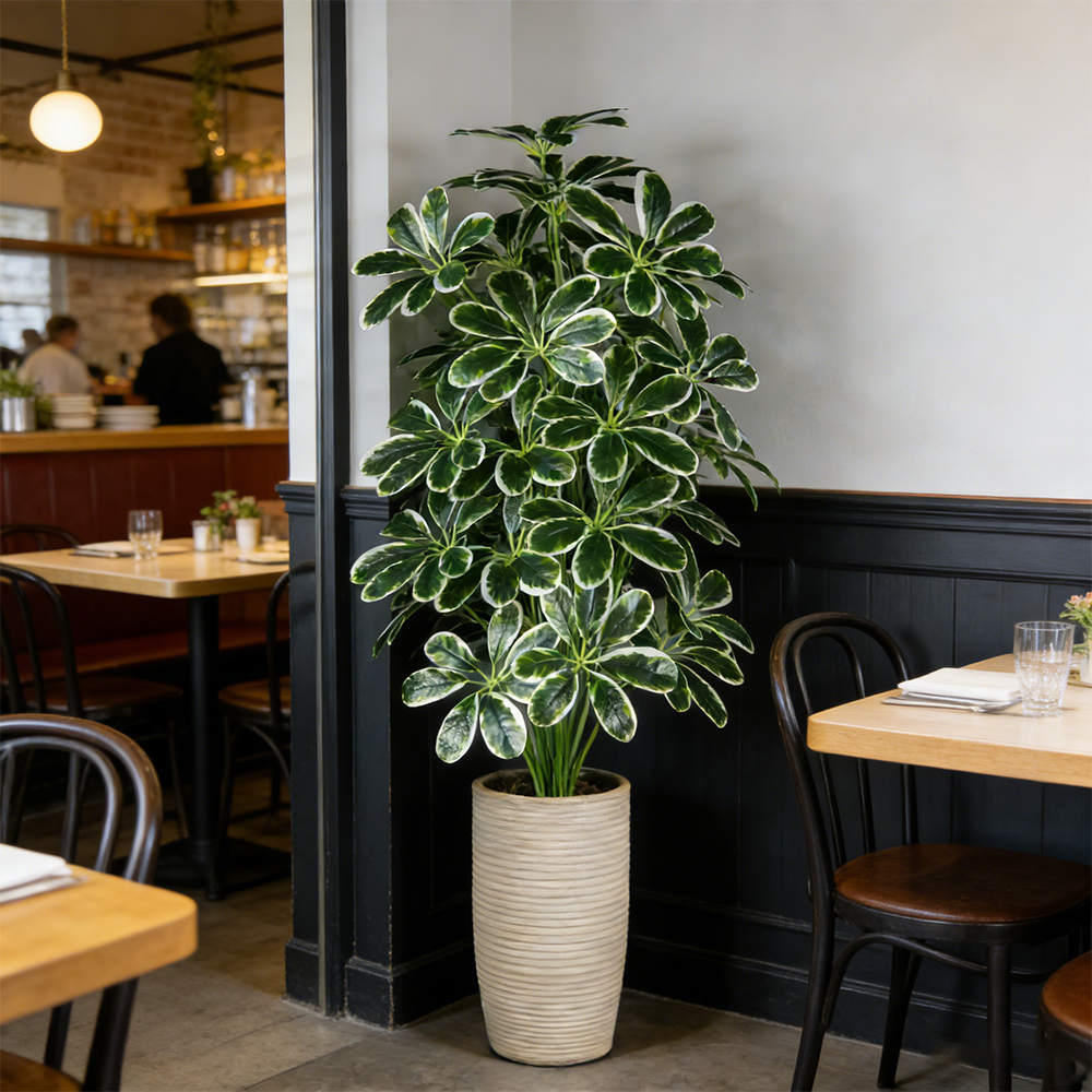 50-75cm Artifficial Maranta Pl - đánh giá và giá Dracaena Marginata