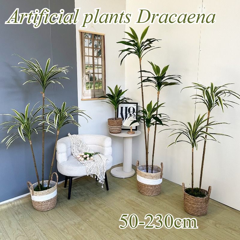 Artificial Dracaena Fake Plant - đánh giá và giá Dracaena Marginata