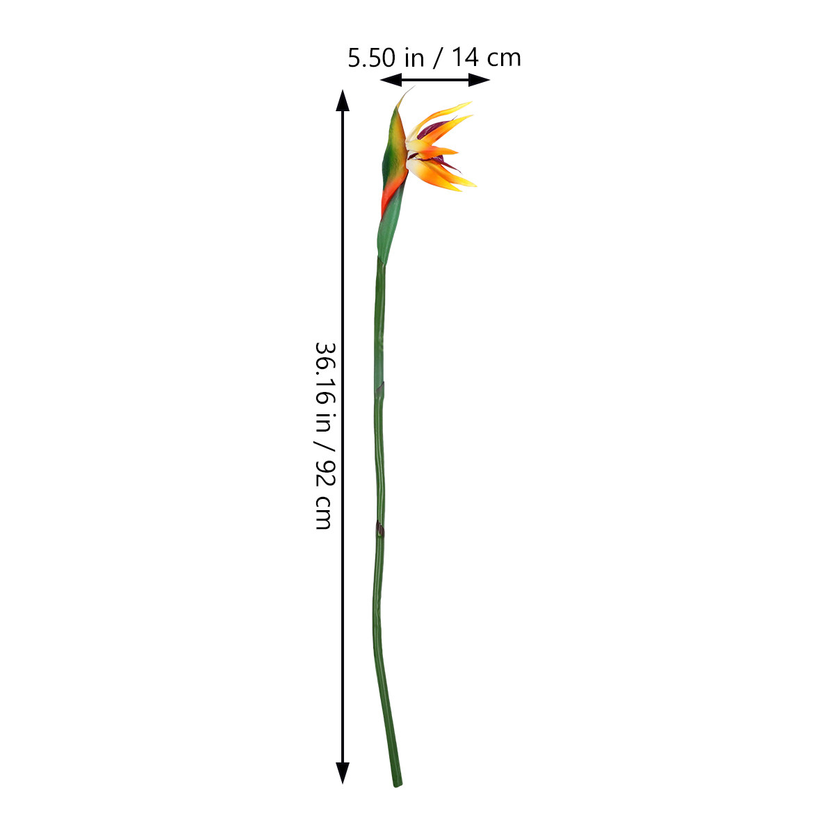 Artificial Strelitzia Flower R - đánh giá và giá Bird Paradise Strelitzia