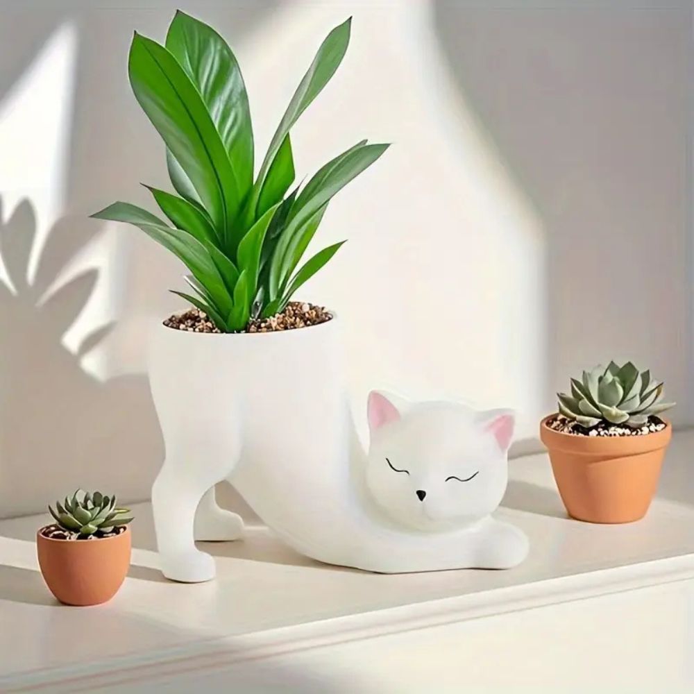 1 Piece of Bohemian-Style Resi - đánh giá và giá Echeveria Succulent