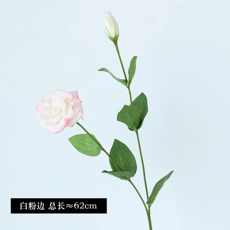 10Pcs/lot Moisturizing 2Head E - đánh giá và giá Ficus Lyrata Tree